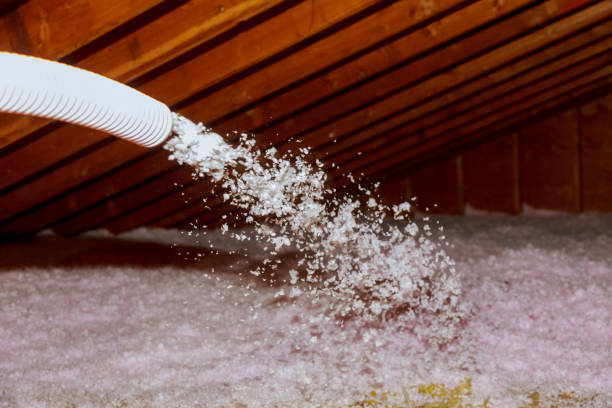 Best Commercial Insulation in Adams, WI